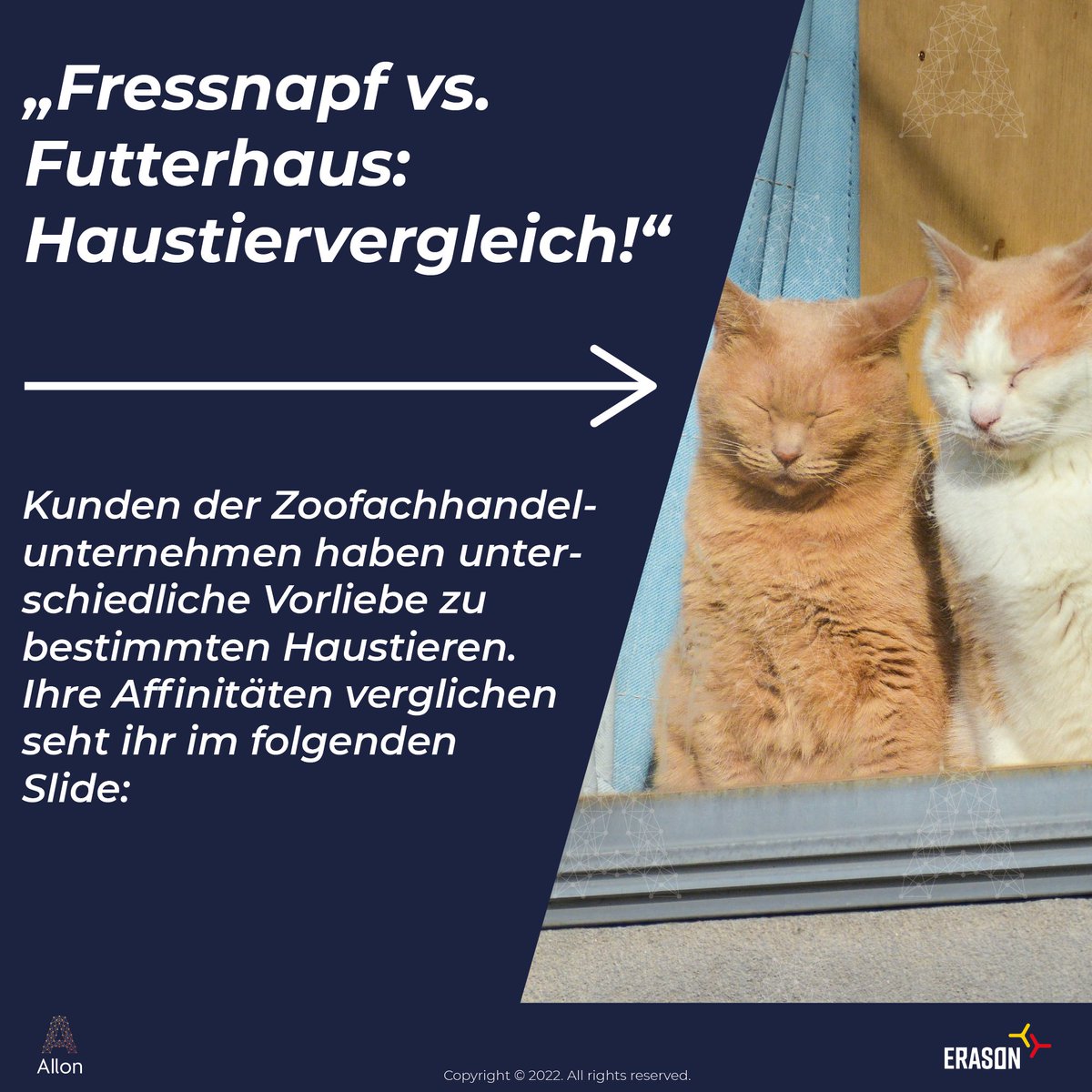 AIlon_stats's tweet photo. Hund, Katze oder Vogel? Zu welchem Haustier hat die Zielgruppe von Fressnapf und dem Futterhaus eigentlich die höchste Affinität?

Du interessierst dich für die Themen Konsum und Gesellschaft? Dann wirf ein Blick in unser Statistikportal unter https://t.co/5M4HTtWkgV

#analyse https://t.co/Og9C3Zgbck