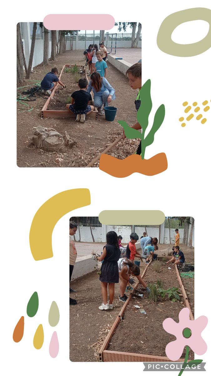 CEIPCupiana's tweet photo. Comenzamos a preparar nuestro huerto!!! @huertum @ProEdSaludable @EducaAnd https://t.co/qWOwEtZeT0