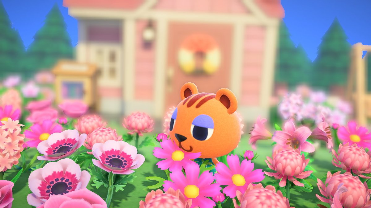flying_cookiee's tweet photo. 拉拉米的小花園

#動物森友會 #AnimalCrossing #ACNH https://t.co/VxGWevIoTs