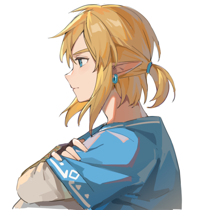 无显 on X: #TOTK #BOTW #Zelda #Zelink #リンゼル  / X