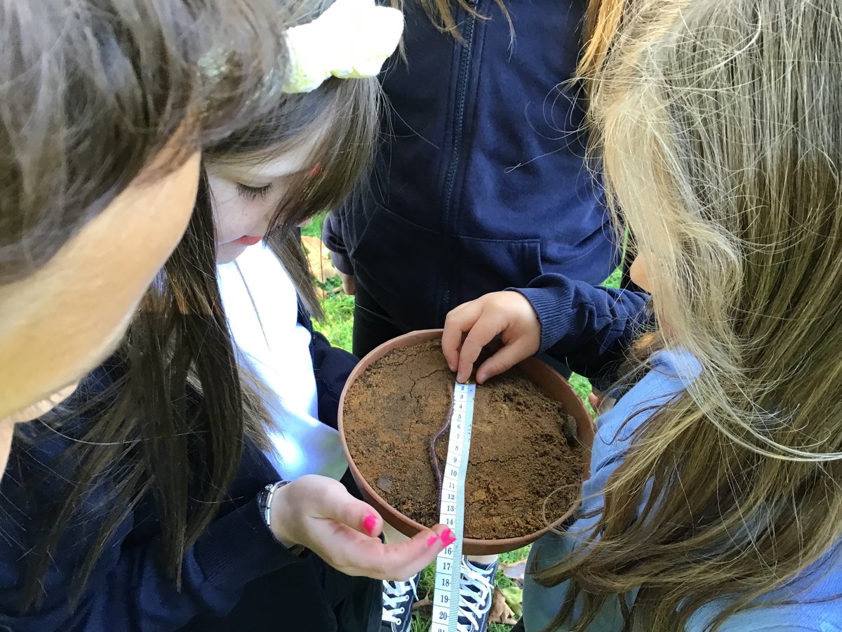 kirstenthomson9's tweet photo. P5 using maths in outdoor learning today, we measured weight, length, time and volume #MathsWeekScot
fun #ThorntreeMathsWeek22 @ThorntreeHT @MccloreyMr https://t.co/wbfbgHRWIq