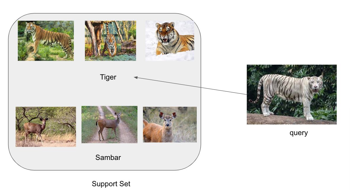 sambit9238's tweet image. Few-shot learning?
what? Making predictions based on few labeled samples.
how? prediction depends on features rather labels. In the pic, if class changed from tiger to panthera-tigris still query pic belongs to it.
#ArtificialIntelligence #fewshotlearning #MachineLearning