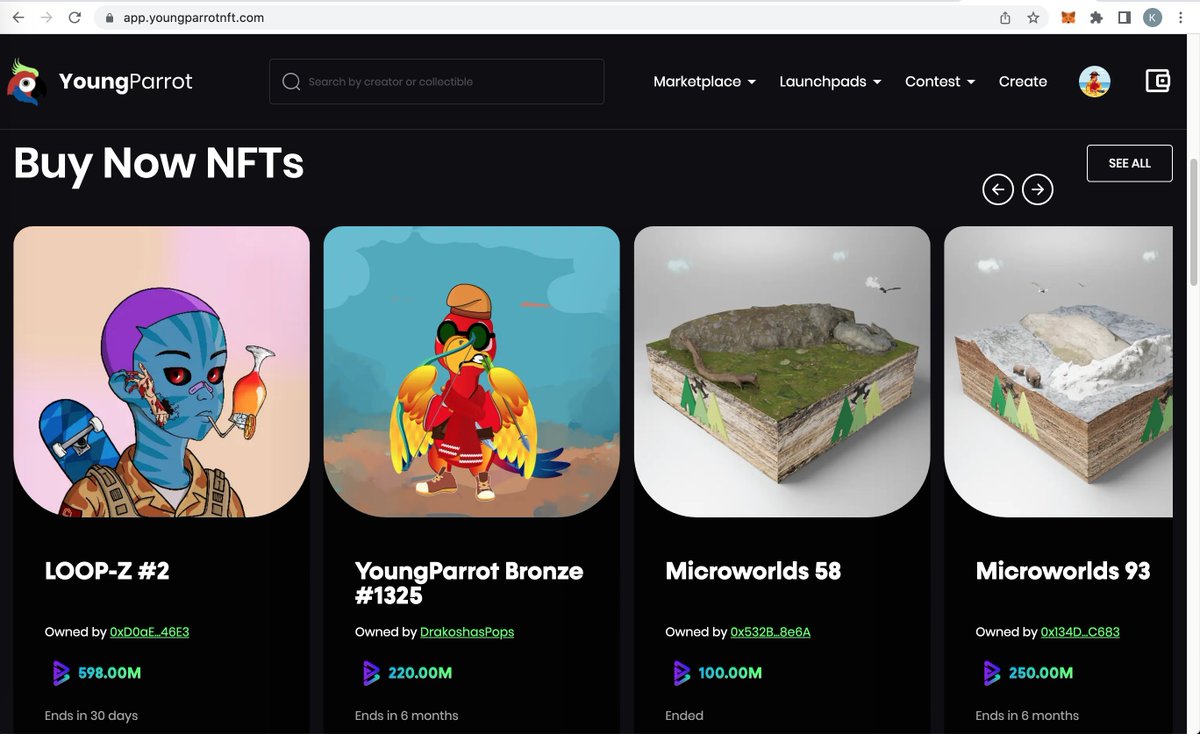 YoungParrot tweet media