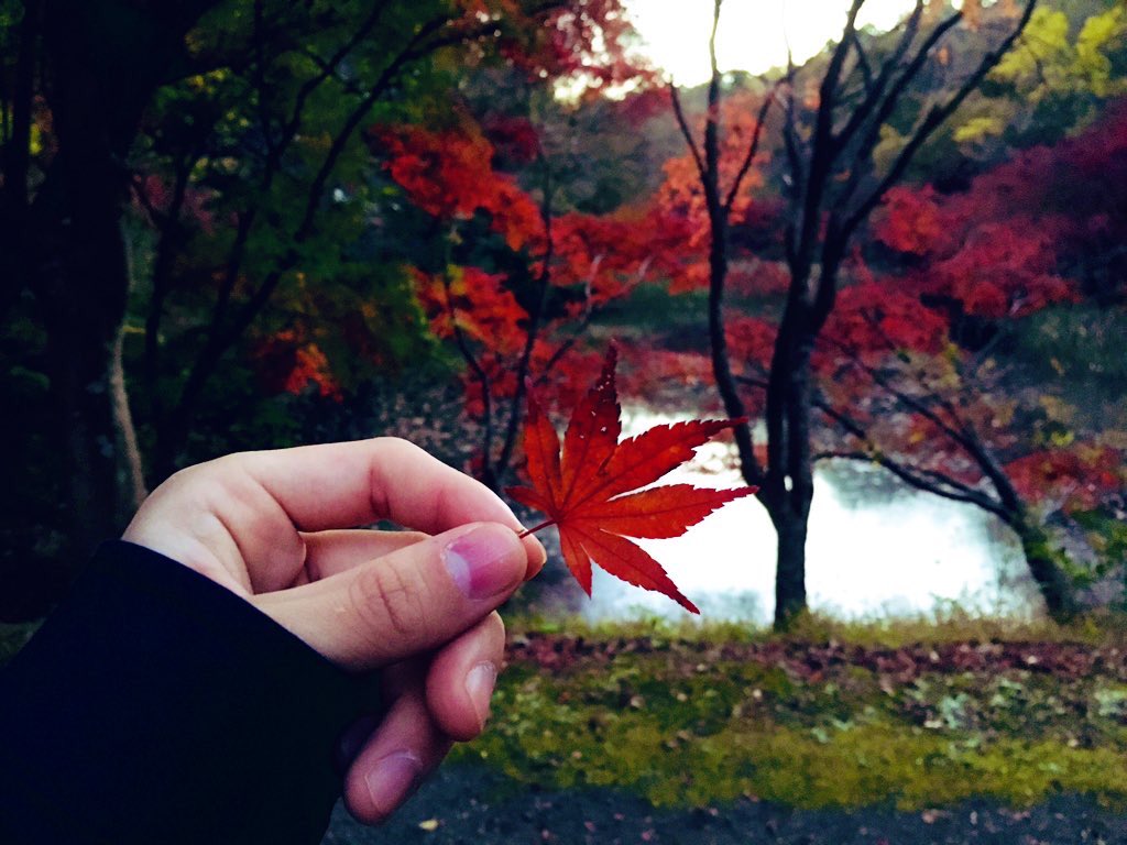 Tory42512's tweet photo. 『時は失われるだけではなく、いつでも懐かしさという残像を残していく。それがすべてのものの存在理由なのかも知れない。』

Spitz - Kaede
https://t.co/rFU7YXgSPt https://t.co/C02SDa9OsN