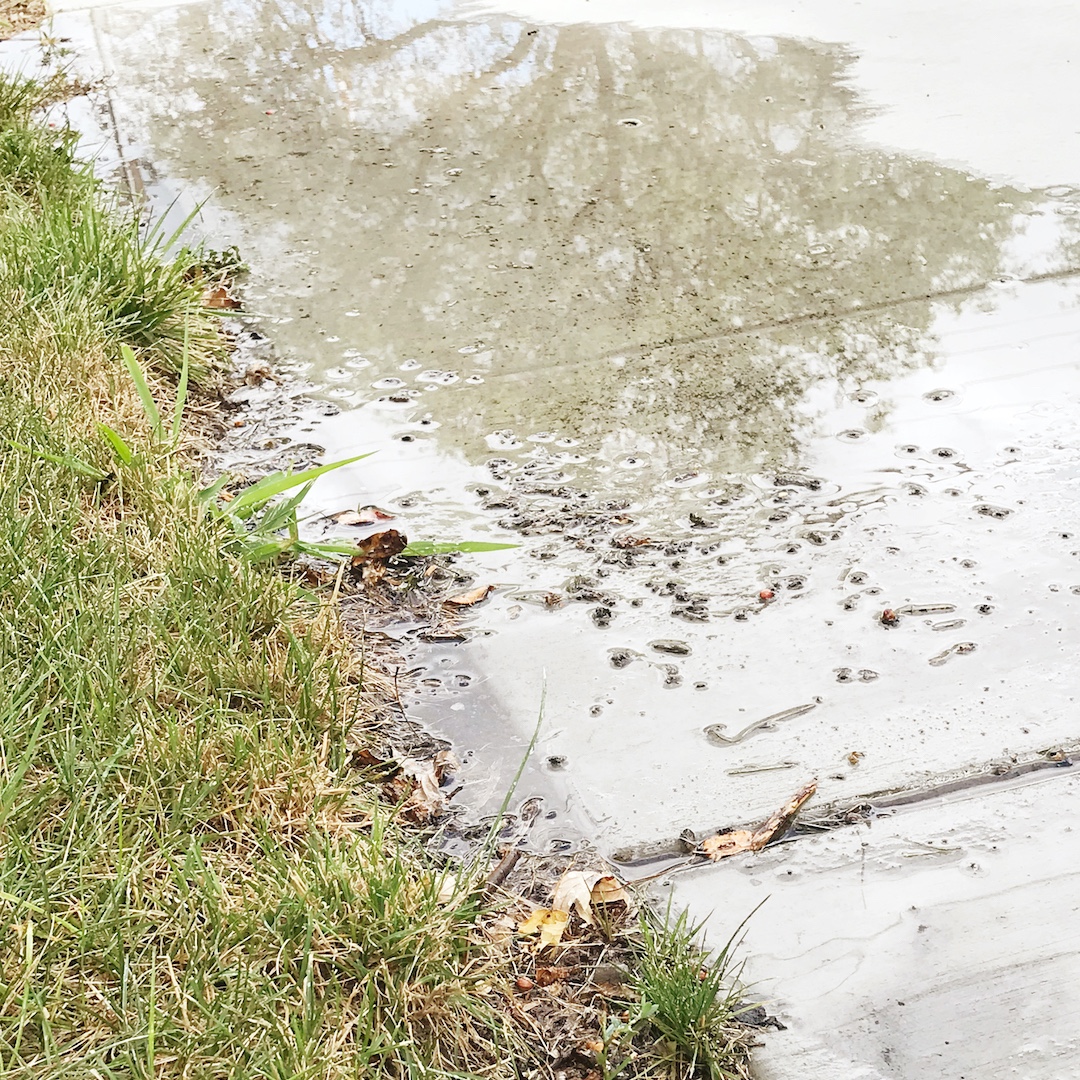 wcwcd's tweet photo. #ProTip: concrete doesn't need watering. Adjust your misaligned sprinklers to avoid water waste.
#slowtheflow #saveH2O #waterwiseutah https://t.co/rdjrTy0WiT