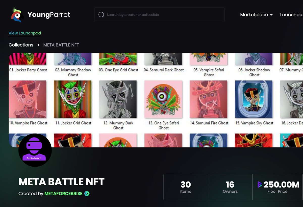 YoungParrot tweet media