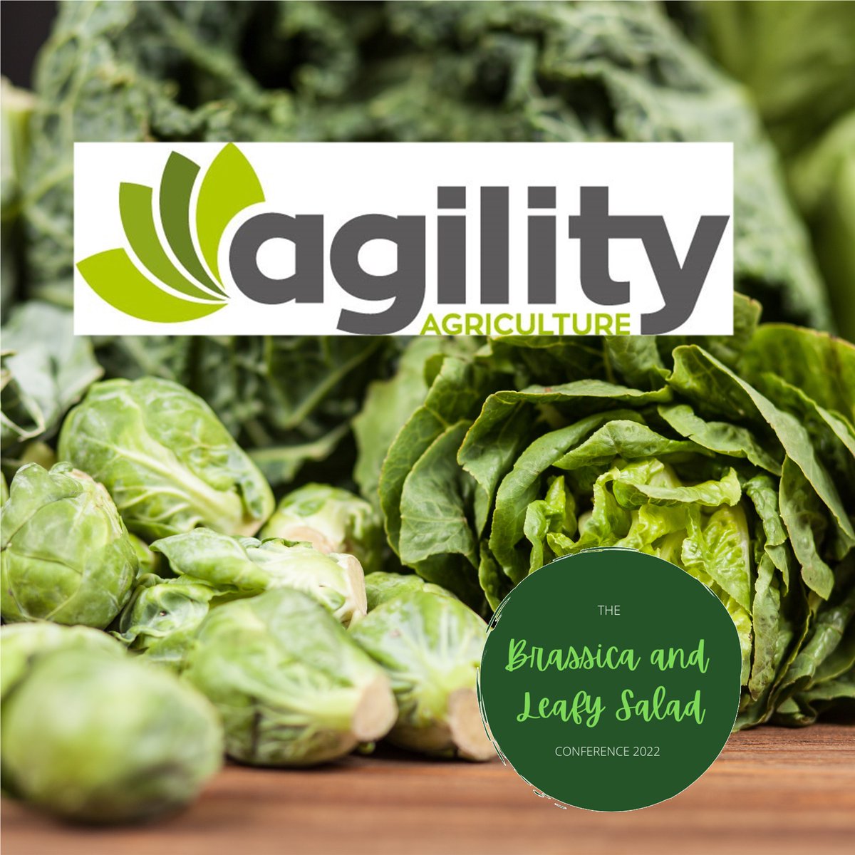 BLSAConference (@blsaconference) on Twitter photo @agility_ag are exhibiting at the Brassica and Leafy Salad Conference, get your tickets to see them bit.ly/38lvYk5 agilityag.com #horticulture #leafysalad #Freshproduce #Brassicas #BritishGrowers #BLSAC is Sponsored by <a href="/JohnDeere/">John Deere USA</a> & <a href="/StoutAgtech/">Stout Industrial Technology</a> @agility_ag are exhibiting at the Brassica and Leafy Salad Conference, get your tickets to see them bit.ly/38lvYk5 agilityag.com #horticulture #leafysalad #Freshproduce #Brassicas #BritishGrowers #BLSAC is Sponsored by <a href="/JohnDeere/">John Deere USA</a> & <a href="/StoutAgtech/">Stout Industrial Technology</a>