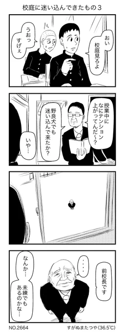 校庭に迷い込んできたもの3 