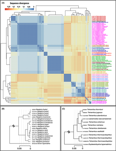 Microbial Biotechnology (MBT) (@microbialbiote1) on Twitter photo Delafont <a href="/VDelafont/">Vincent Delafont</a> et al., at <a href="/UnivPoitiers/">Université de Poitiers</a> identify group-specific primers for environmental Heterolobosa 🦠by high-throughput sequencing🧬. Read here and share ⬇️ my.mtr.cool/mkhciyoptp Delafont <a href="/VDelafont/">Vincent Delafont</a> et al., at <a href="/UnivPoitiers/">Université de Poitiers</a> identify group-specific primers for environmental Heterolobosa 🦠by high-throughput sequencing🧬. Read here and share ⬇️ my.mtr.cool/mkhciyoptp