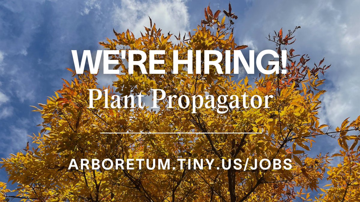 ArnoldArboretum's tweet photo. We're hiring! We are seeking an ambitious and experienced Plant Propagator, enthusiastic about conducting seed and clonal propagation of temperate woody taxa in a public garden setting. https://t.co/iTeTaViABJ https://t.co/HevnP8rPEu