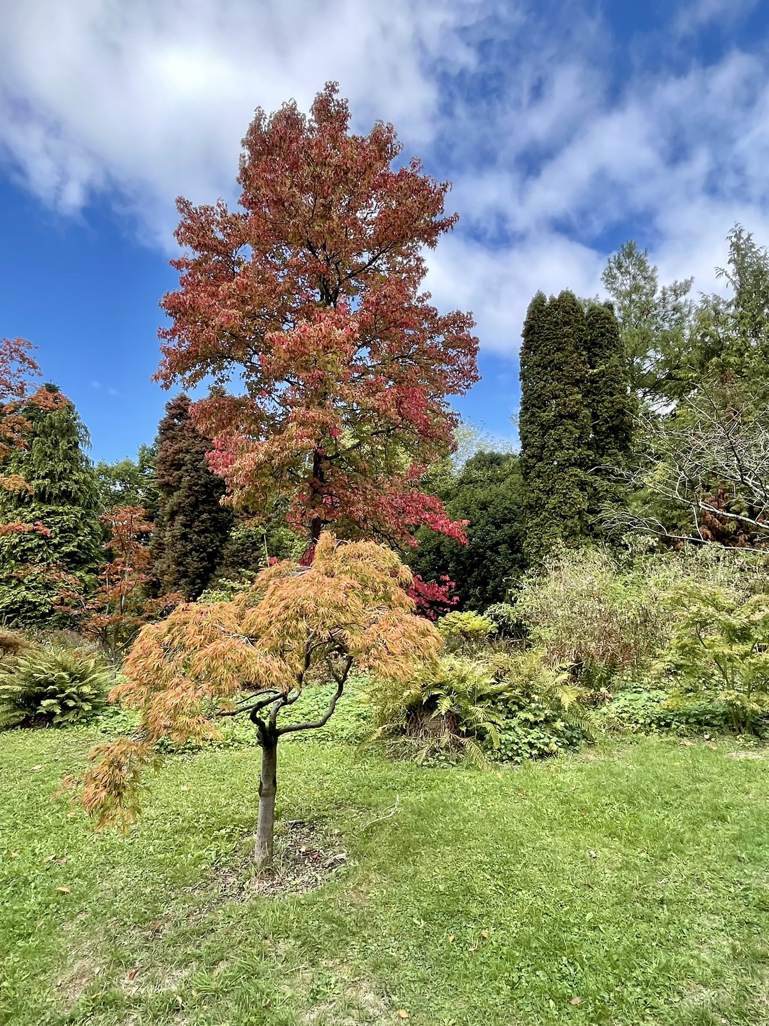 Love Bath (@WeLoveBath) / Twitter