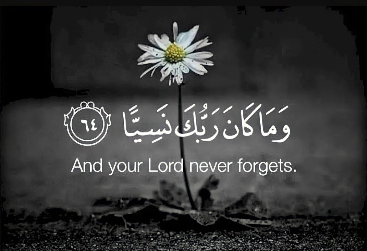 IslamAndLyfe tweet picture