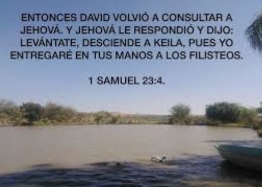 SamuelRojoB's tweet photo. #rpsp 
1 Sam 22 CONSULTÓ
Por amor a su pueblo que era oprimido por los filisteos, Dios condujo a David en la victoria y le dejó actuar como rey cuando aún todavía no lo era, pero David fue sabio, consultó al Señor y dejó que Él llevará adelante la batalla. https://t.co/5rODGU87n3