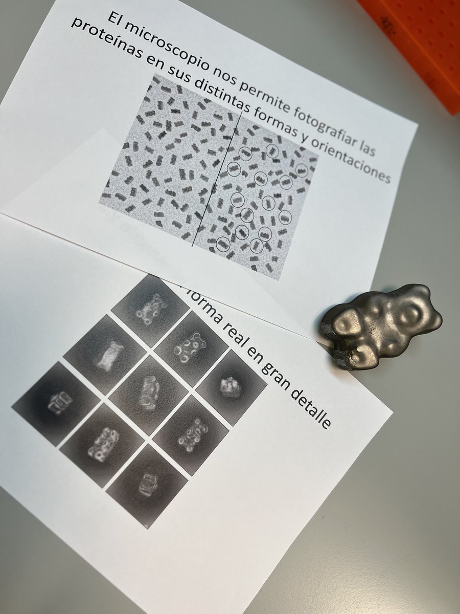 Rafa F Leiro tweet media