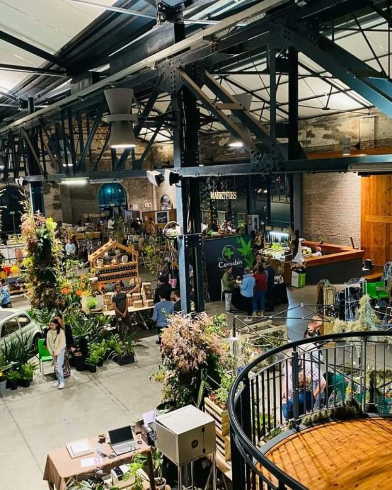 TramwaysB's tweet photo. Marktfees Botanics 2022 https://t.co/UNWc4Aqnrn