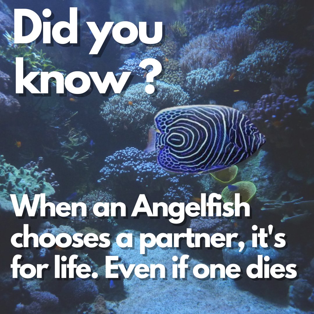 SciAll.org tweet media