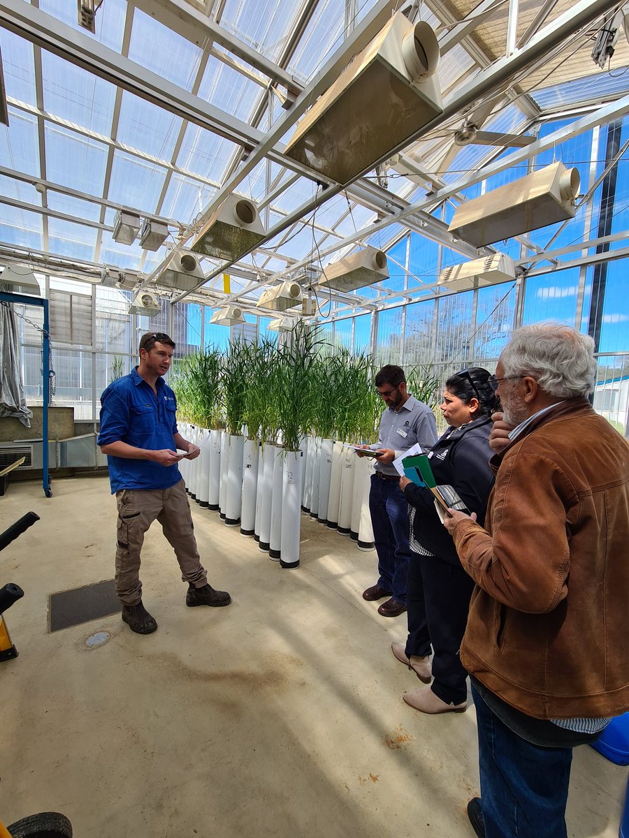 EhsanTavakkoli's tweet photo. A great pleasure to host colleagues from Western Australia @DPIRDWA for a #ScienceExchangeDay and to strengthen our collaboration on innovative soil research in grains industry. @theGRDC @NSWDPI_Soils @DavidHall_Soils https://t.co/nDmJdahNN8