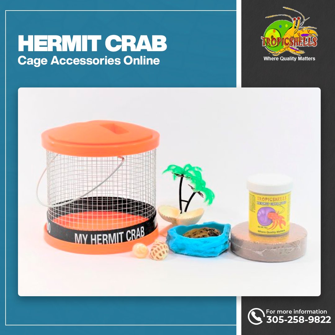 tropicshells1's tweet image. Grab a 20% discount on all hermit crab cage accessories! For more information on pricing, shipping, and deals, visit our online portal. tropicshells.com
#crabshell #crab #crabs #shell