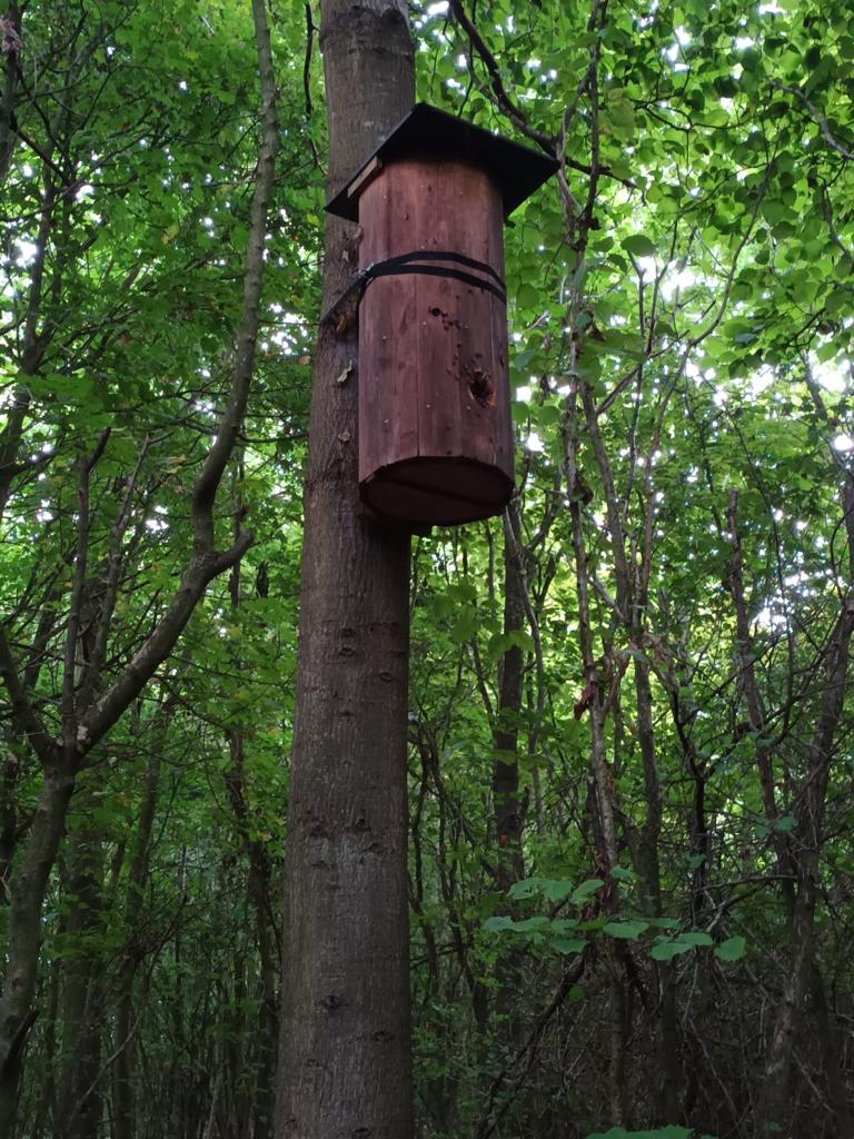 GCwS Parish Council tweet media