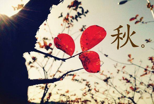 Petling11's tweet photo. I want to prove to you that I have become better. When I really become better, I realize that your thoughts are no longer important https://t.co/yAnSlAPsuT