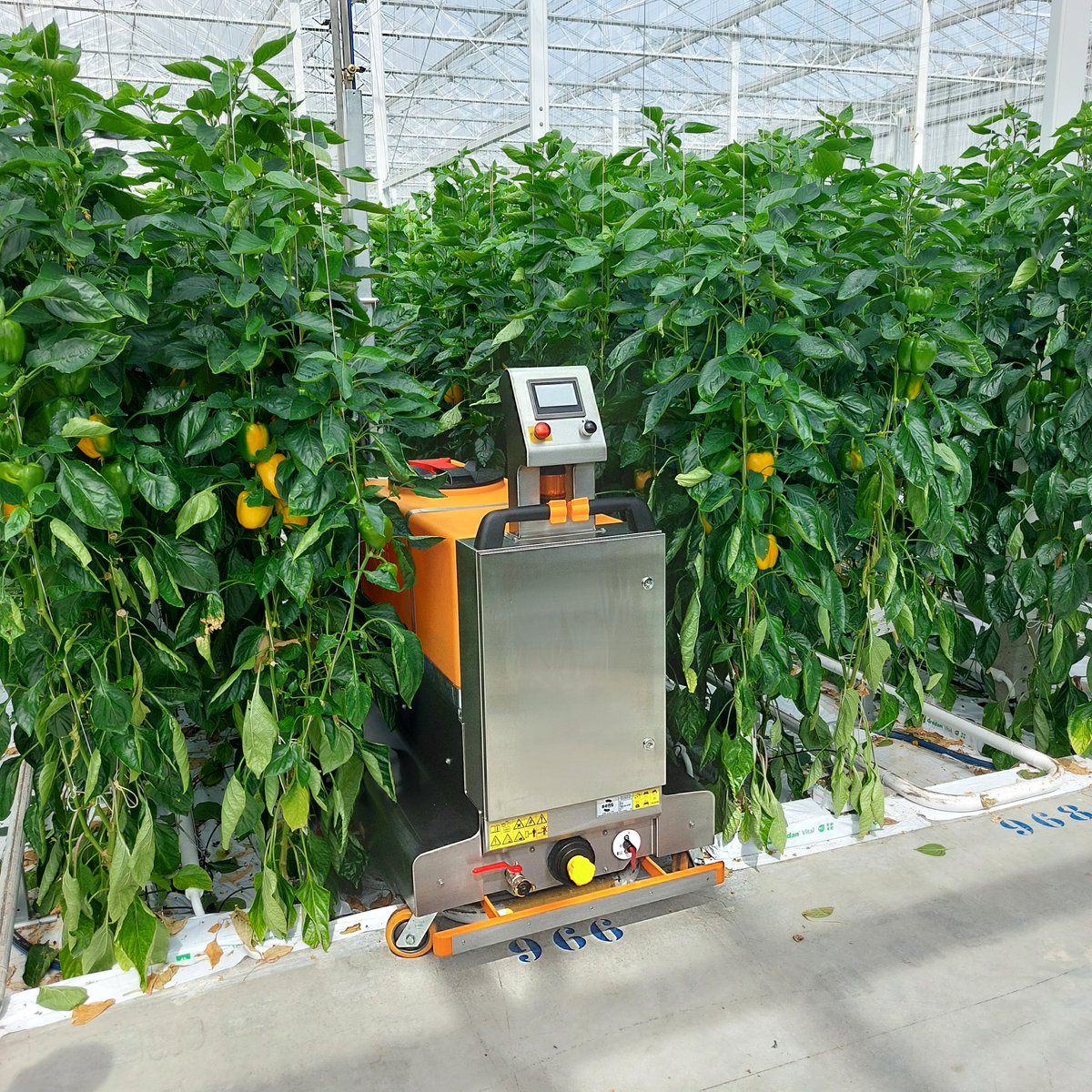 The BeMatic Meto SWT spraying robot of <a href="/BergHortimotive/">Berg Hortimotive</a> allows you to spray spot by spot. With the built-in tank and pump, feed hoses on the concrete path are no longer necessary, which keeps the way clear for other transport in the greenhouse.
#bematic #cropprotection