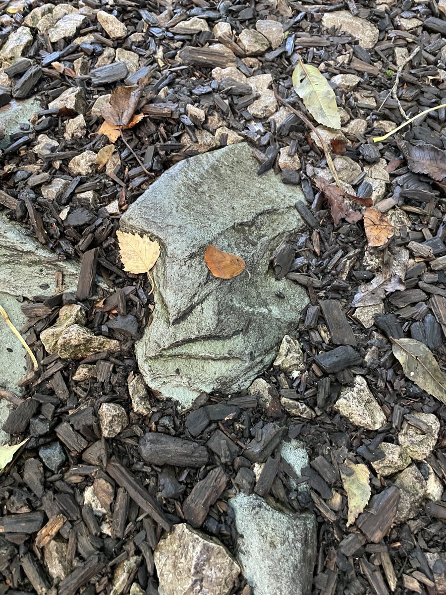 BennettJYoung's tweet photo. Rock face giving me Labyrinth or Return to Oz vibes on my lunch time stroll https://t.co/Rf3ziesdTp