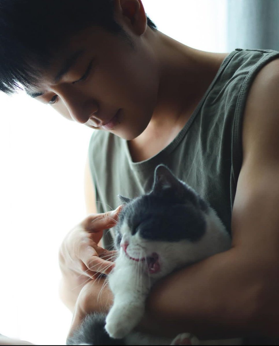 xiaomizhan's tweet photo. Long time no see my lovely cat Nut #xiaozhan#seanxiao#theuntamed#theoathoflove#thelongestpromise#wheredreamsbegin# https://t.co/oDGIp2e5Gz