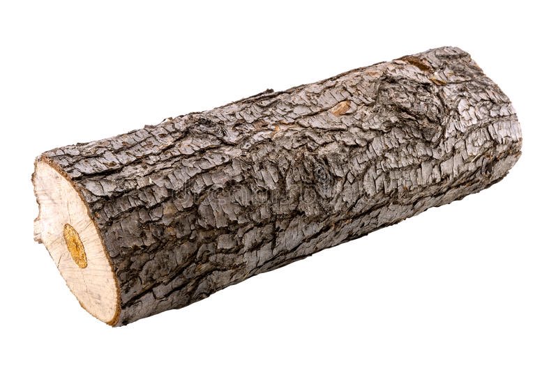 termite345707's tweet photo. @termite5378 Happy birthday big guy, got you a little something https://t.co/dUUUVQeDJU