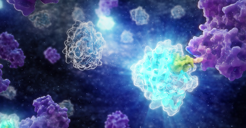 promegauk's tweet image. 🏃‍♀️🏃‍♂️ Hurry and catch Promega UK's talk 'New Tools for Redirected T Cell Therapy Discovery and Development' at 2.10pm! 

Pop by and say hello.

More at: bit.ly/3DZBfi8

#LabChat #ImmunoUK #immuoassays