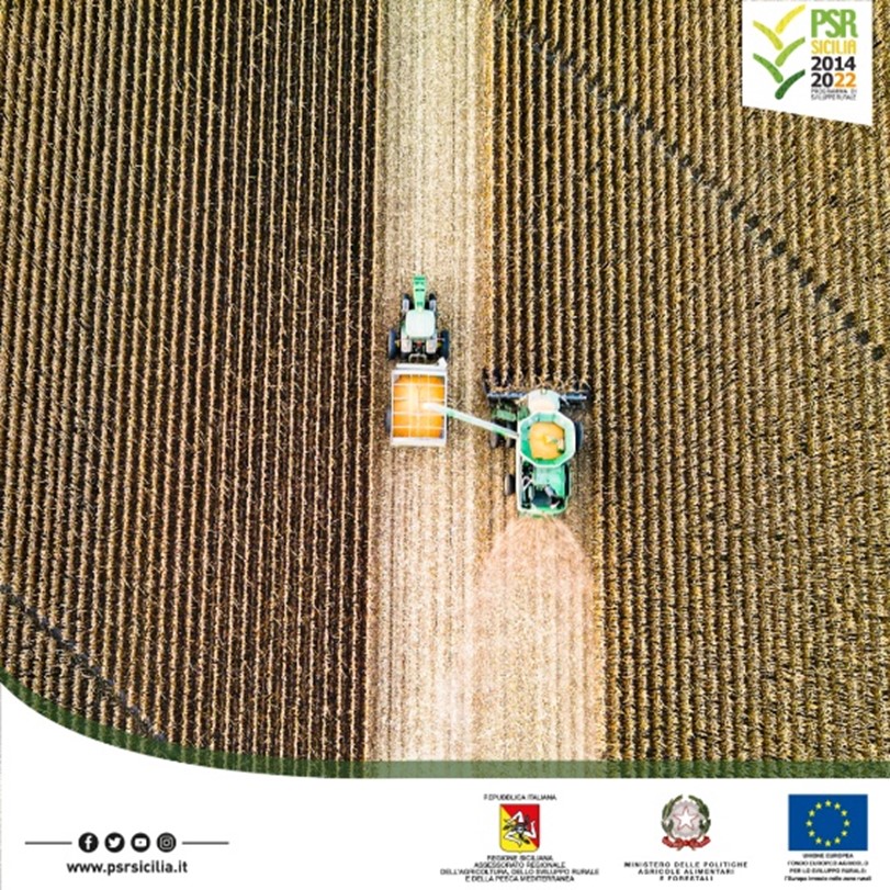 PsrSicilia's tweet photo. #MIPAAF “Convenzione tra Ministero delle Politiche Agricole Alimentari e Forestali e Cassa Depositi e Prestiti per il lancio del nuovo bando dei contratti di filiera, principale misura del PNRR a favore del comparto agroalimentare.” Per saperne di più:
https://t.co/qaKxxrxB9K https://t.co/gLkv9jqrvc