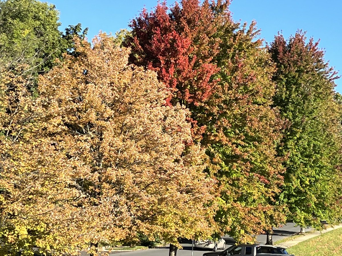 basdjacksilva's tweet image. Sycamore Street, Bethlehem, PA. September 29, 2022.