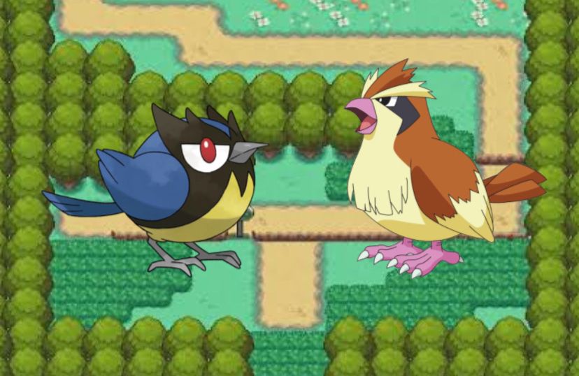 RouteOneUnite's tweet photo. Amanhã faremos a nossa estréia no GRUPO PIDGEY, divisão arceus, na @xmegaarena. Me colocaram no grupo do meu primo da roça vou ter que estar aturando os papo de capiau dele. Deixei seu "Pru" para demonstrar suporte! Tmj

#goR1 #PokemonGO #NintendoSwitch https://t.co/SvDRf3RHhD