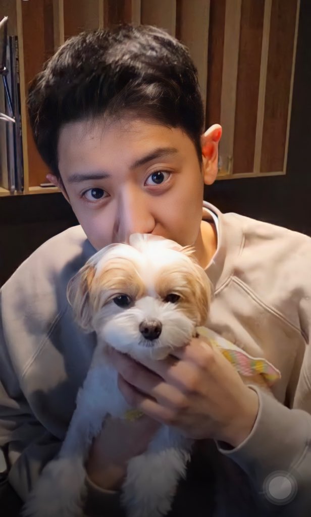 fullieblesschu's tweet photo. still the same chanyeol  ᵒ̴̵̶̷᷇ ˓̯  ᵒ̴̵̶̷̤᷆

#찬열아_우리_라이브로_만나 
#ChanyeolLiveOnIG https://t.co/k4SXqPsra4