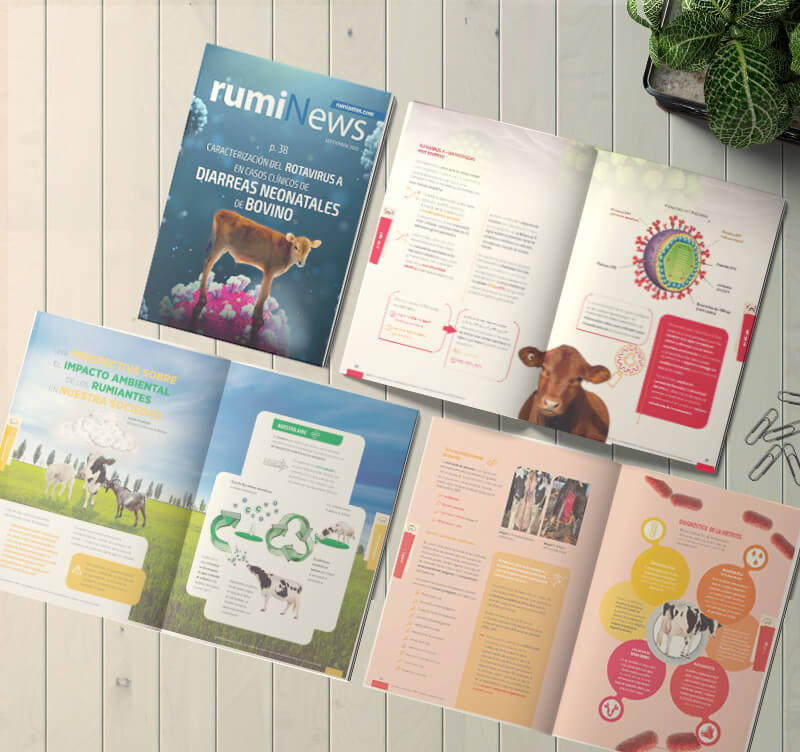 RumiNewsrevista's tweet photo. ¡Otoño con la revista rumiNews!🍂
Abordamos la implicación de #Rotavirus A en las #diarreas neonatales en #bovino🐄, reflexionamos sobre el verdadero #impactoambiental de la #ganadería🐐 y las claves para hacer frente a las #metritis en el #ganadovacuno
https://t.co/bjDapglOMY https://t.co/01ap0ePbPl