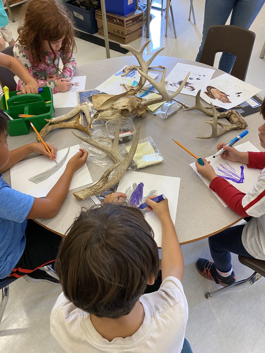 Roden-Equinox Community tweet media