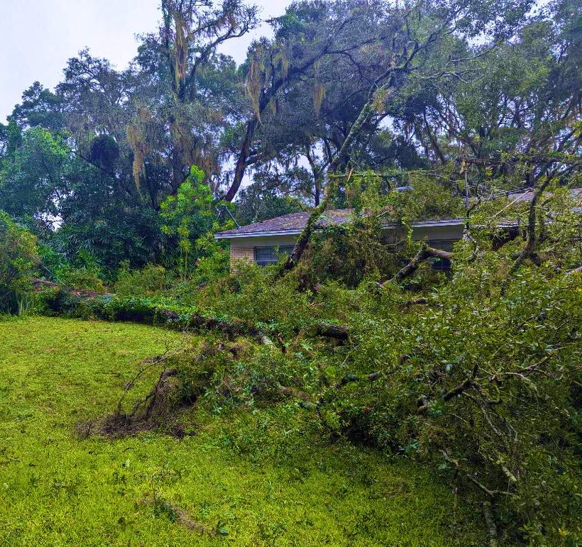 TAMICHAD's tweet photo. Trees are down/no electric ⚡️ https://t.co/0pZx6C3Hf8