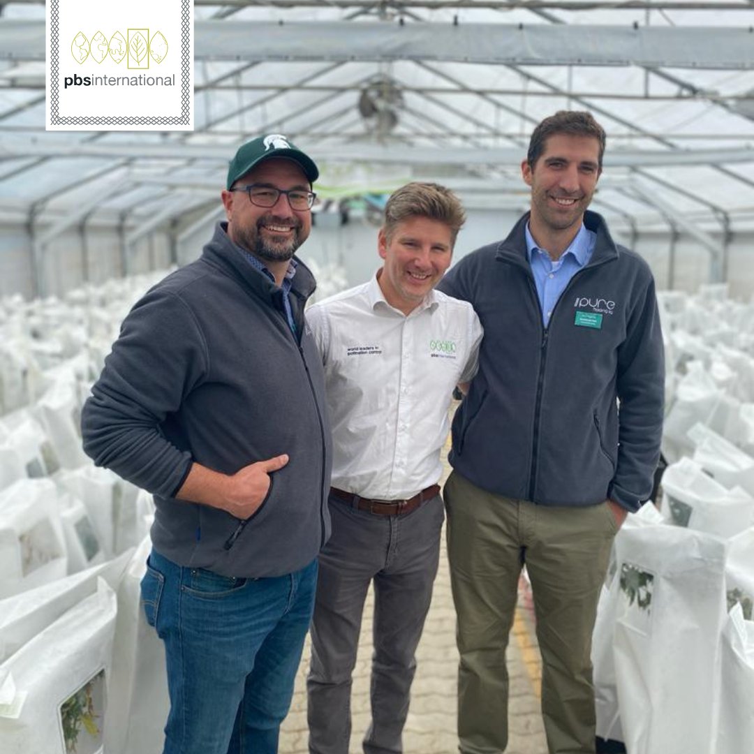 PBS International tweet media