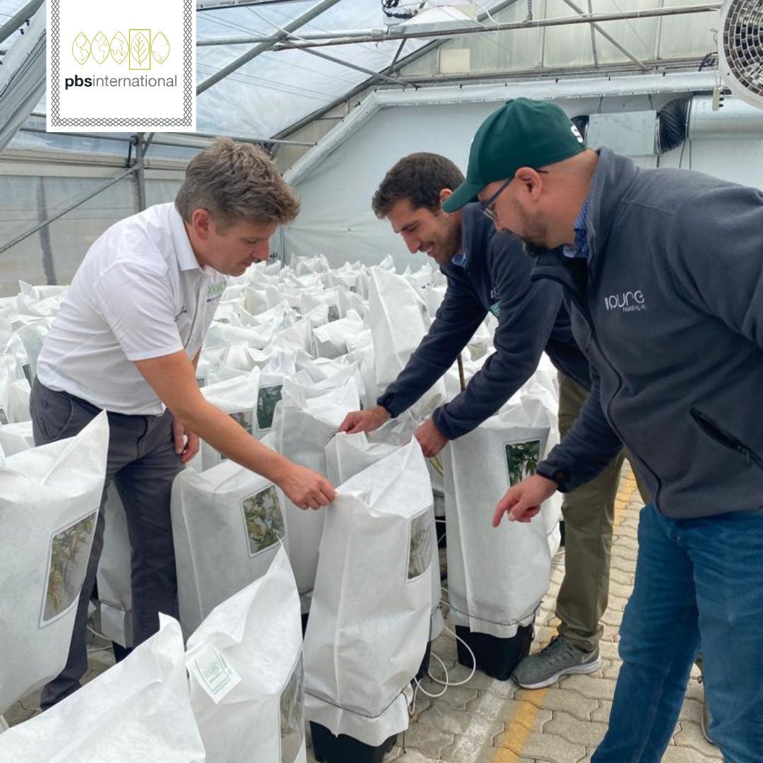 Our commercial manager Rob is over visiting 
<a href="/PuregeneAG/">Puregene AG</a> in Switzerland today!

Pure Gene, a next-generation plant breeding company, are using our pollination control bags for cannabis cultivation to ensure genetic purity.

Stay tuned for more updates! 
#pollinationcontrol
