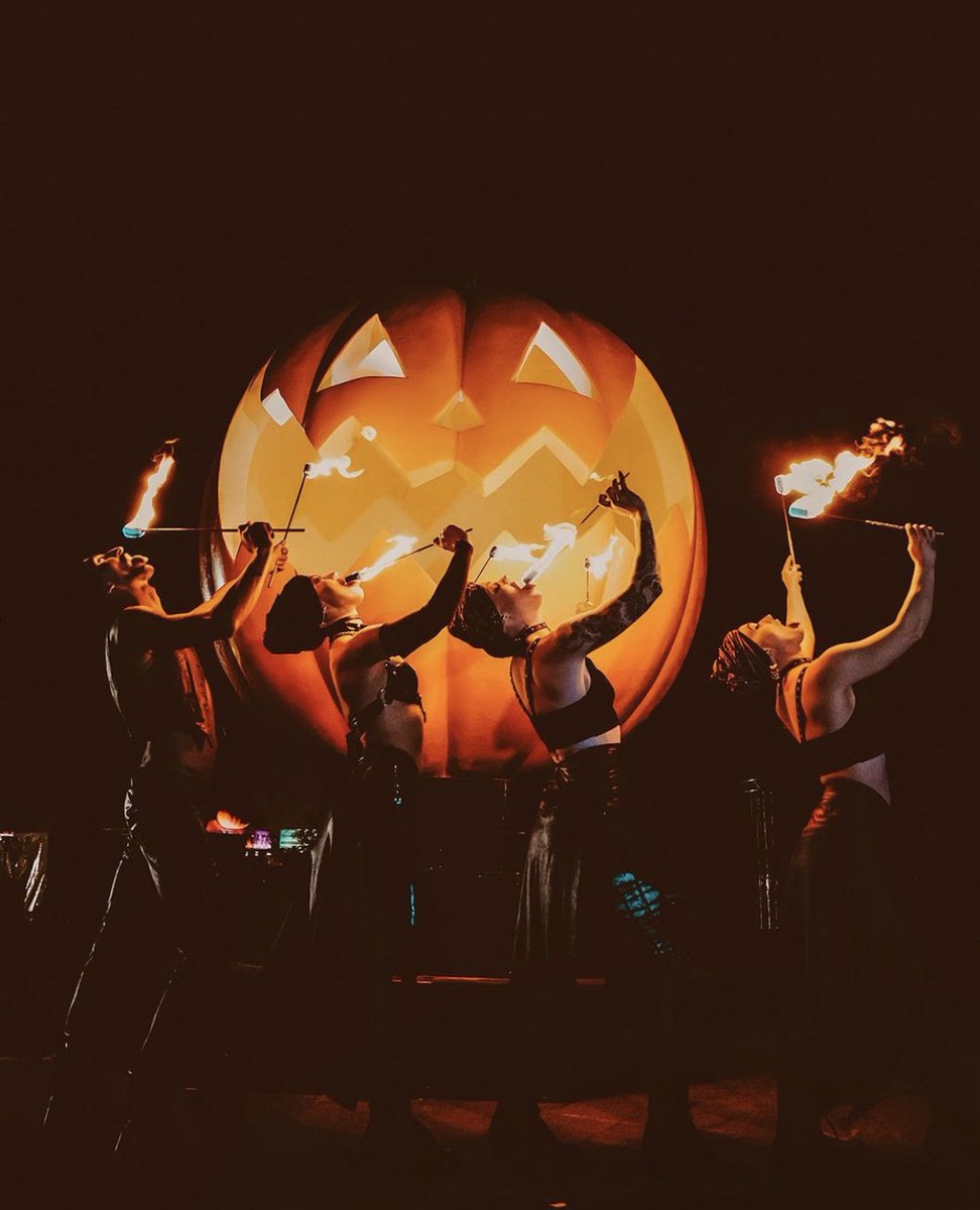 Fun in Texas tweet media