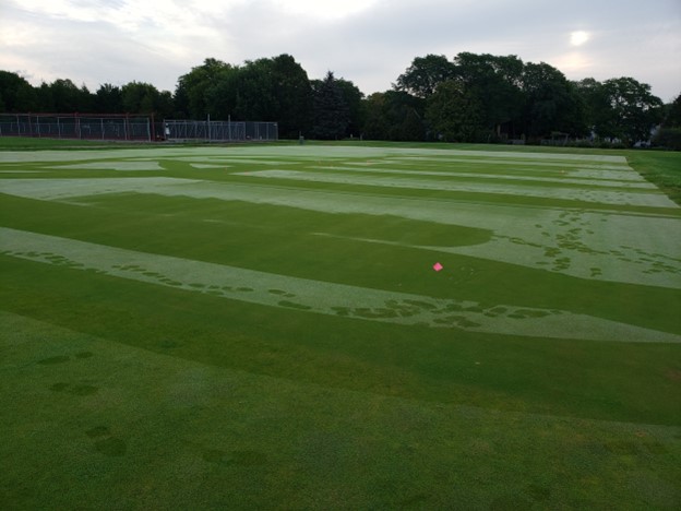 We have a new blog post! Make sure to read "Does rolling greens following a contact fungicide application affect results?" by <a href="/gdeters_turf/">Gary Deters</a>
turf.umn.edu/does-rolling-g…
#GolfSuperintendents #Fungicide #Rolling #Research
