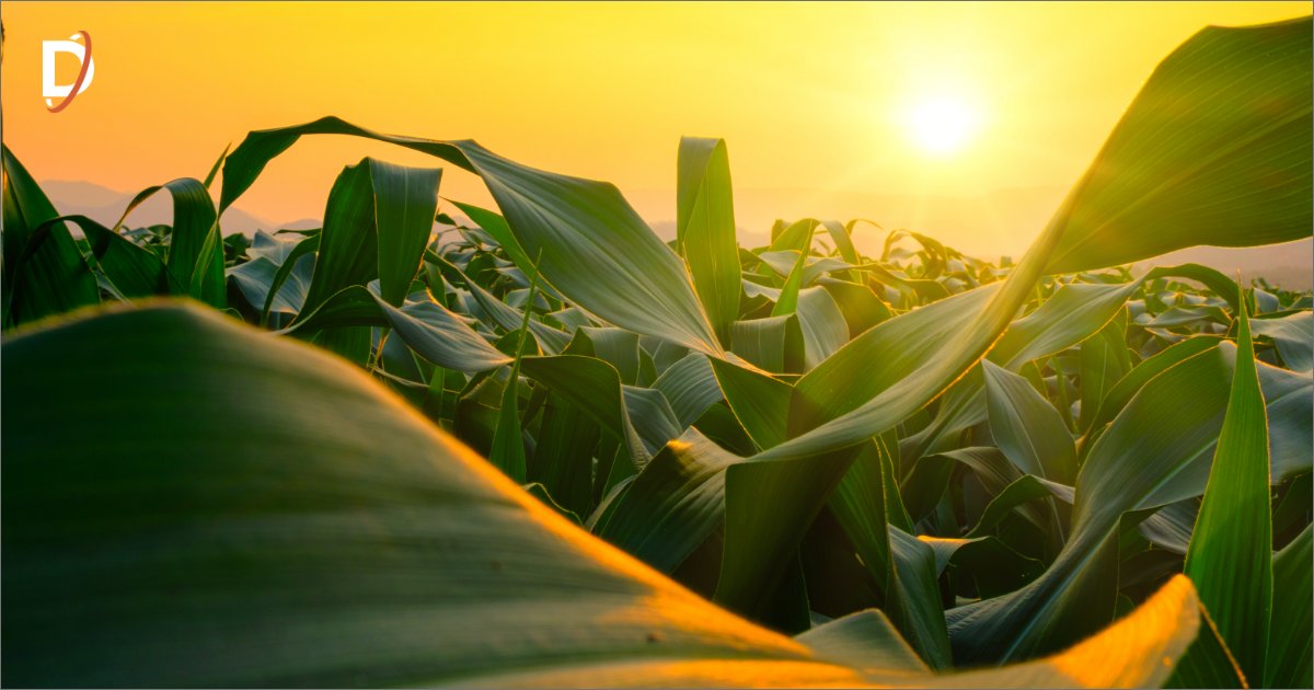DynaQuip's tweet photo. In our new blog you’ll discover the many uses of plants beyond food and how #DynaQuip supplies the resources to help make these diverse plant applications a growth experience. https://t.co/rGzNkAeuhV
#valvesolutions #valvemanufacturer #fluidcontrols #weworkwhereyouworkI https://t.co/Wz5vsXxkGr