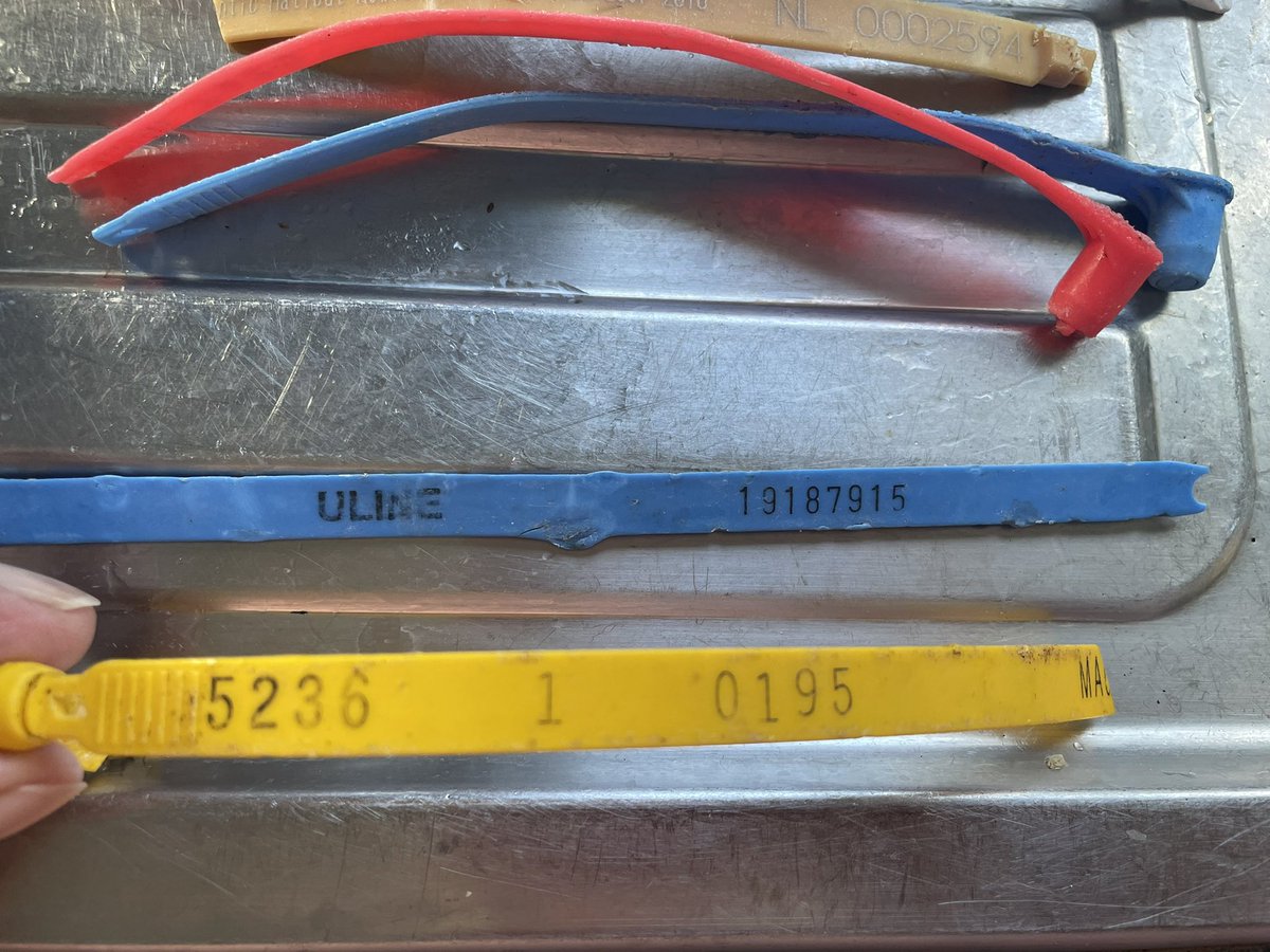 OceanGives~WhaleSongTiree tweet media