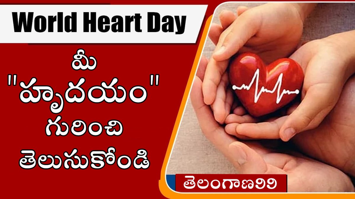 World Heart Day September 29 | Telangana99 | Know your Heart youtu.be/l97YzJdcTAg via <a href="/YouTube/">YouTube</a> #WorldHeartDay #WorldHeartDay2022