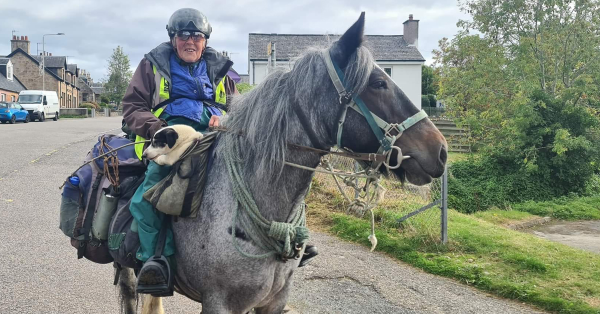 HorseCanada's tweet photo. Dotchin, Diamond, and Dinky Ride Again
A determined 82-year-old, her Irish cob mare and disabled Jack Russell have made the long trek annually for 50 years. #Incrediblejourney #longdistanceride
https://t.co/QettCJurD3 https://t.co/wp5gFtW9Ym