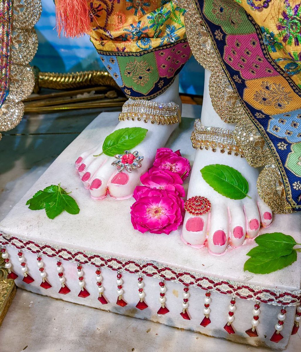 IskconAligarh's tweet photo. #Arjun #Krishna #deities(called as #Arjun #Varshney #Krishna) #Darshan,
#Iskcon #Aligarh #Gita #Gyan #Mandir, #Harduaganj. 29.09.2022
Photography courtesy of Mayapur Chandra (KRD) Prabhuji.
#APNA #SAHAYOGI #PREMI #PARIVAR.
#अपना #सहयोगी #प्रेमी #परिवार | https://t.co/vy1YvnXpaU