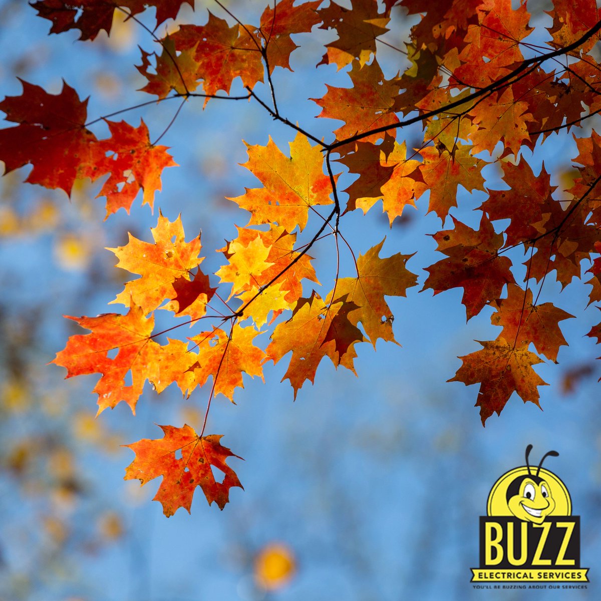 BuzzElectrical_'s tweet photo. #SafetyTip! Fall is in full swing. Remember to keep dry leaves away from outdoor electrical outlets, power cords, and light fixtures. https://t.co/Jm0ZLrTomM