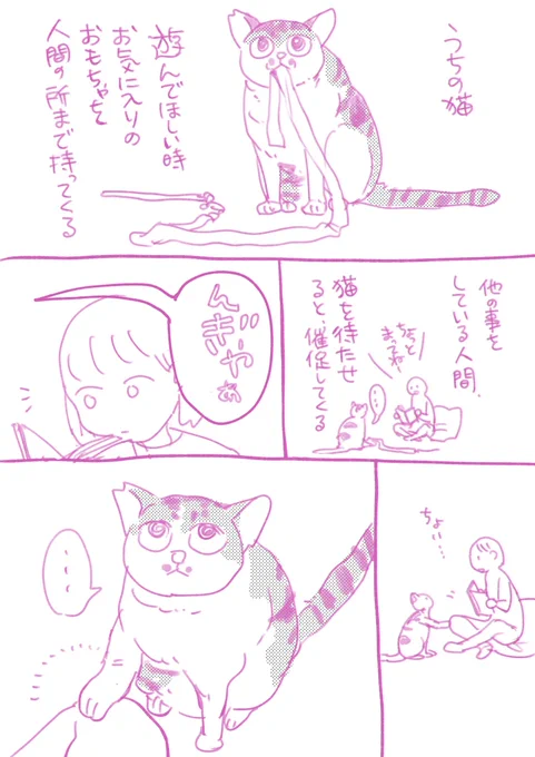 猫がおもちゃを咥えて持ってきて「遊んでくれ」の催促とおててちょい…する度に胸がギュン!!なって今すぐに!あちょぼうねええええ!!となります🥹 