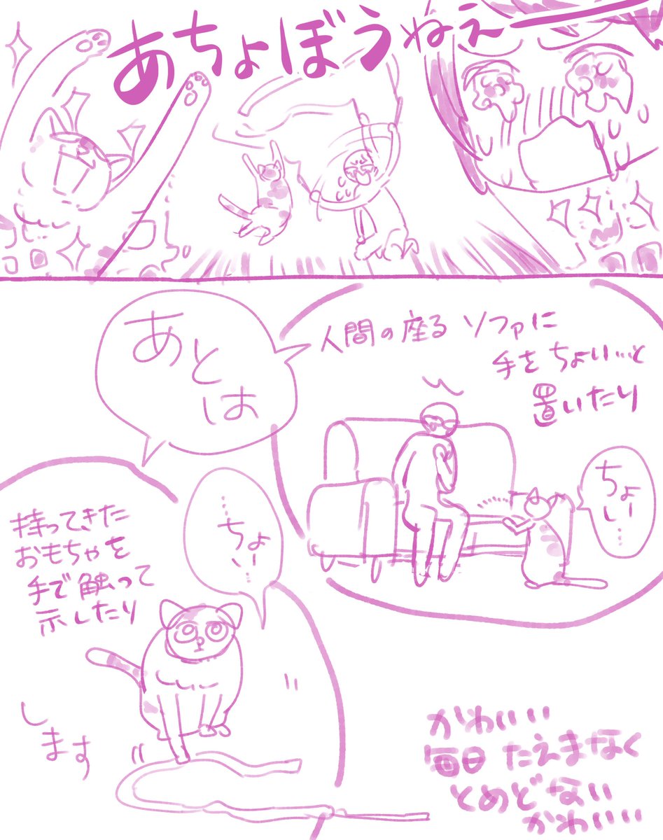 猫がおもちゃを咥えて持ってきて「遊んでくれ」の催促とおててちょい…する度に胸がギュン!!なって今すぐに!あちょぼうねええええ!!となります🥹 