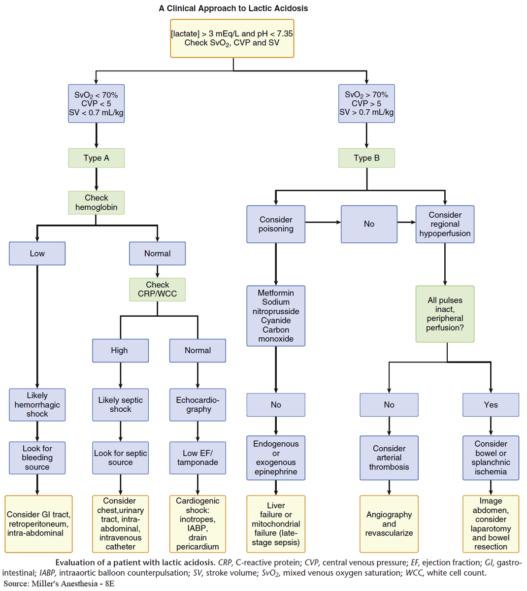 Manual Of Medicine on Twitter "A Clinical Approach to Lactic Acidosis