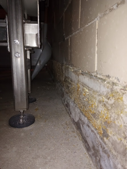 The daily grind! Prepping the wall for coving in tight spots. On all fours grinding the surface and getting into those sharp corners to make way for a new seamless system.  👊💪👷

#grind #seal #concrete #concretecoating #prep #jobsite #crew #tightspots #dailygrind #getfloored